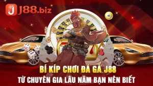 Bí kíp chơi đá gà J88 từ chuyên gia lâu năm bạn nên biết