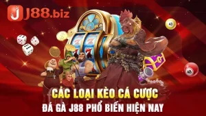 Các Loại Kèo Cá Cược Đá Gà J88 Online Phổ Biến Hiện Nay