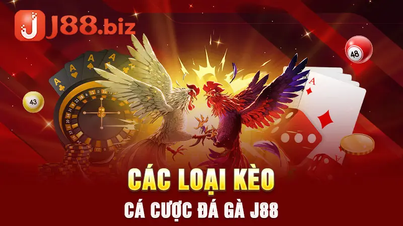 Các loại kèo cá cược đá gà J88