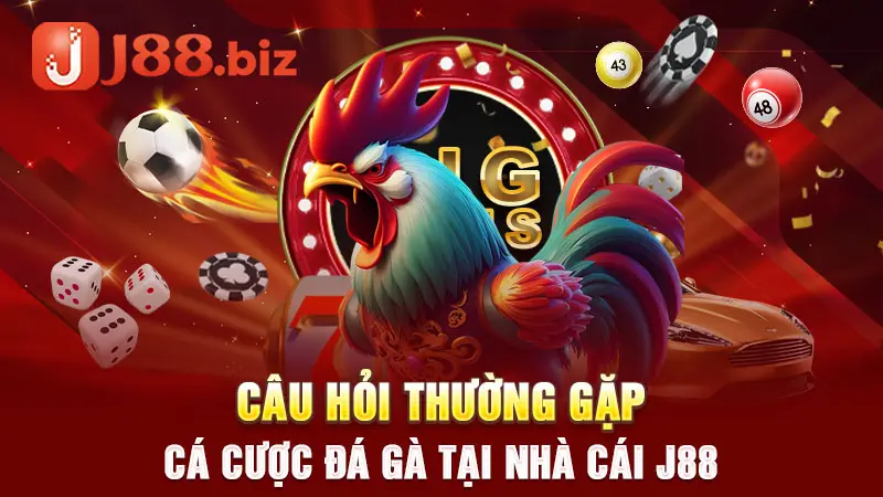 Câu hỏi thường gặp cá cược đá gà tại nhà cái J88