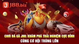 Chơi đá gà J88: Khám phá trải nghiệm cực đỉnh cùng cơ hội trúng lớn