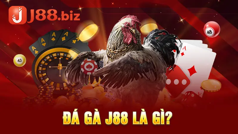 Đá gà J88 là gì