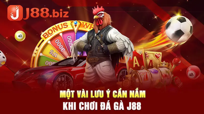 Một vài lưu ý cần nắm khi tham gia đá gà tại J88