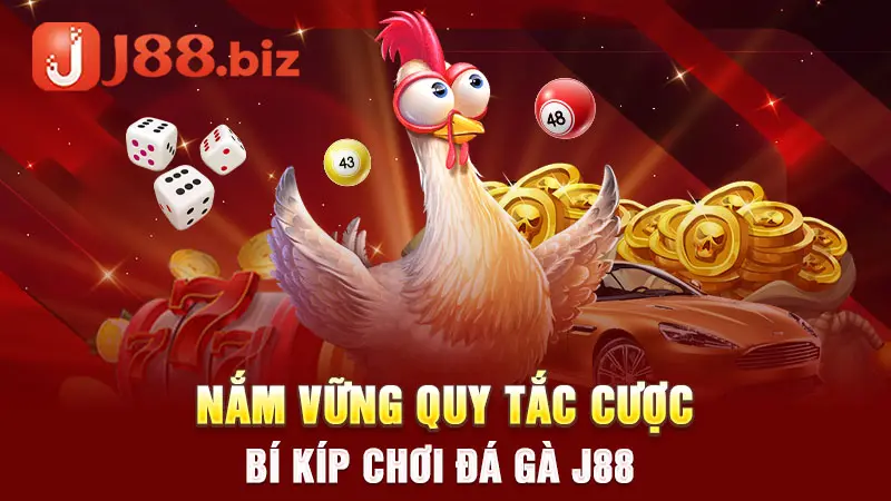 Nắm vững quy tắc cược - Bí kíp chơi đá gà J88