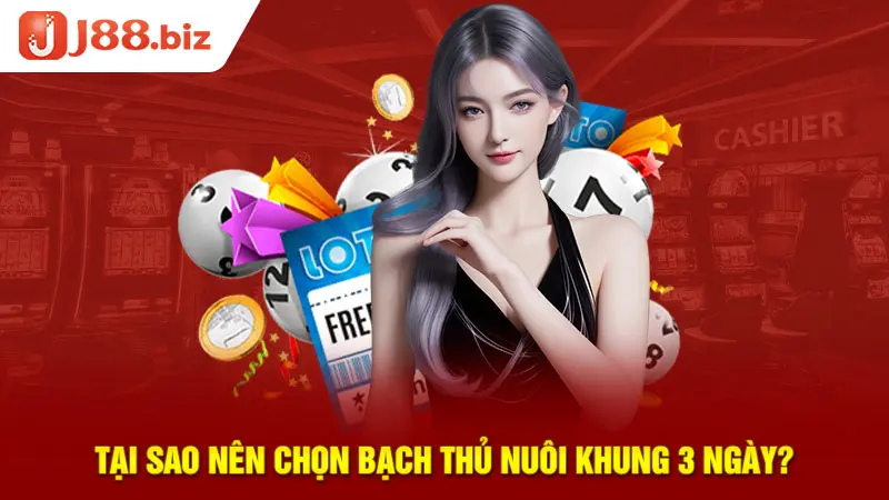Tại sao nên chọn bạch thủ nuôi khung 3 ngày?