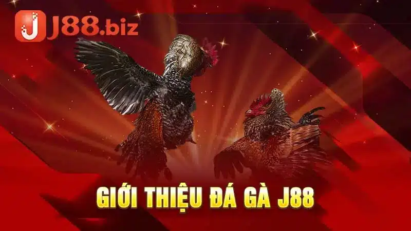 Giới thiệu đá gà J88
