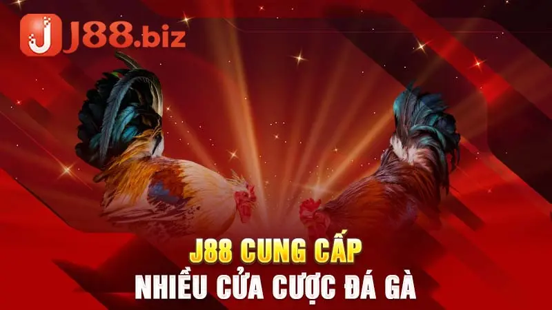 J88 cung cấp nhiều cửa cược đá gà