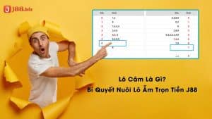 Lô Câm Là Gì? Bí Quyết Nuôi Lô Ẵm Trọn Tiền J88